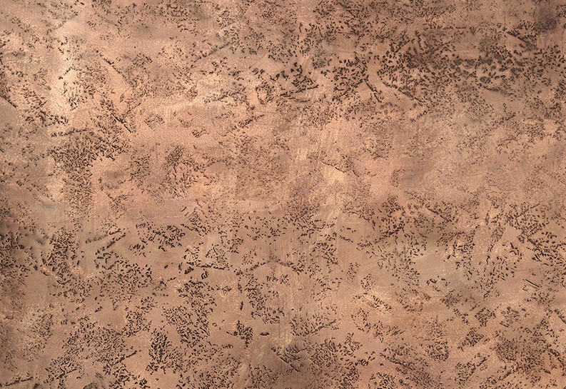 Purometallo - Echtmetallspachtel BRONZO-BRONZE